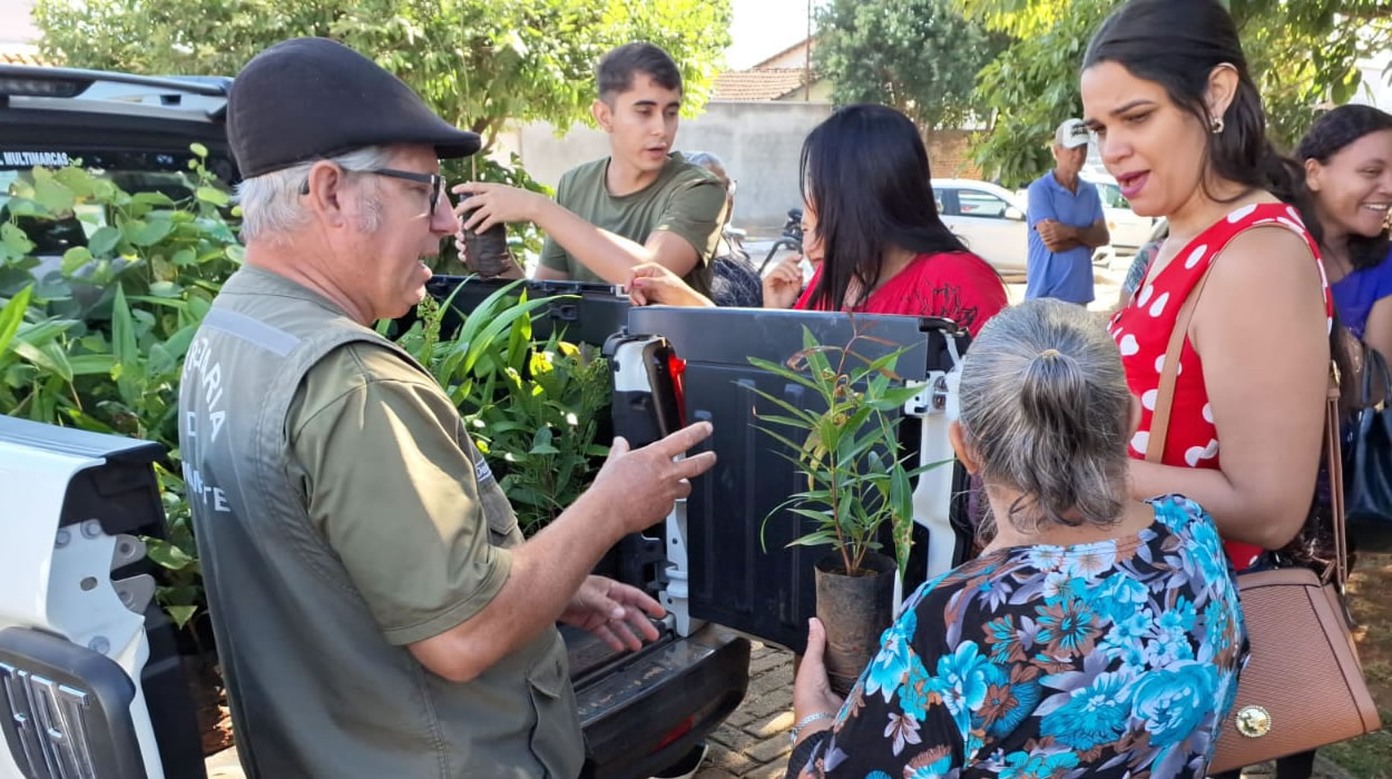 cidade mais arborizada e sustentável