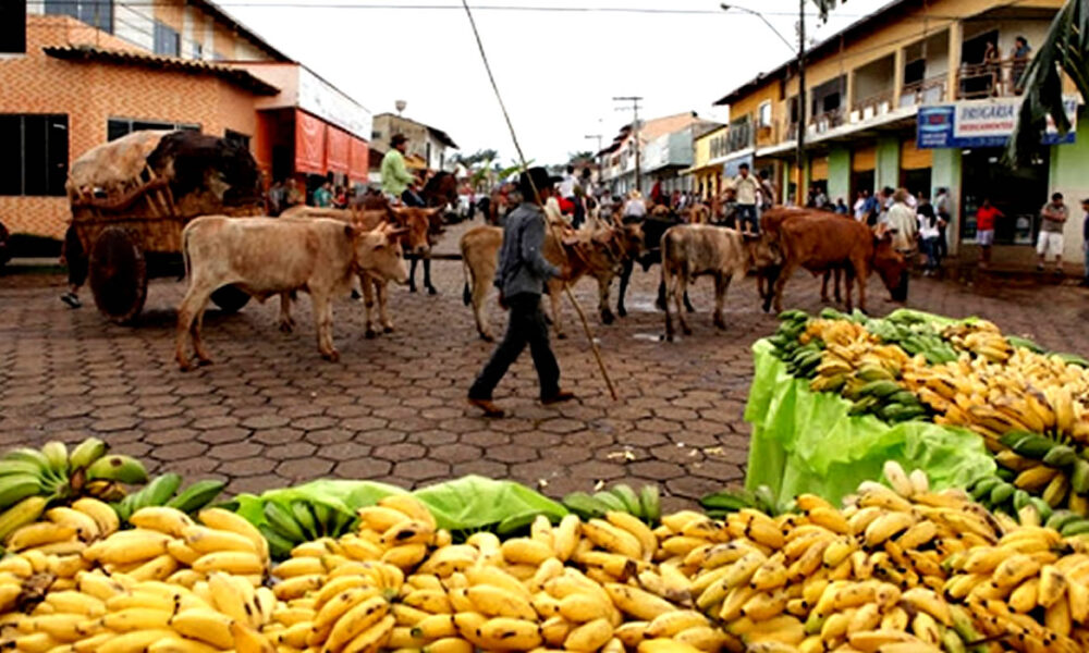 Projeto reconhece Itaguaru como a Capital Goiana da Banana