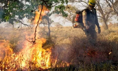 Queimadas em Goiás