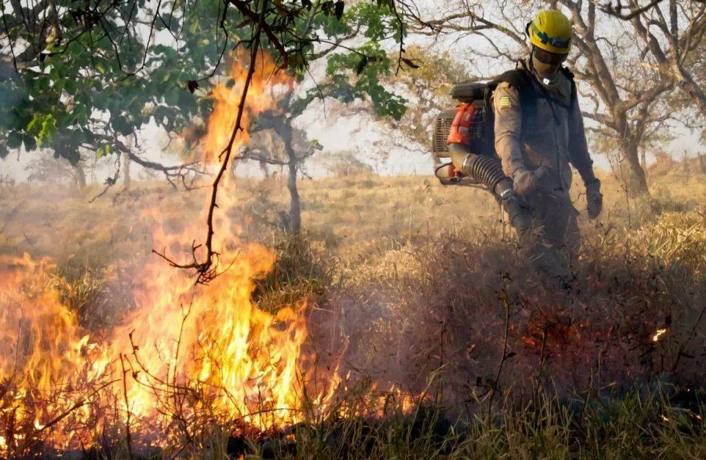 Queimadas em Goiás