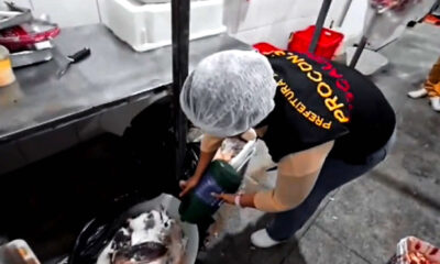 Polícia e Procon retiram 'queijo com mosquito' do comércio-