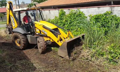 Limpeza de lotes particulares