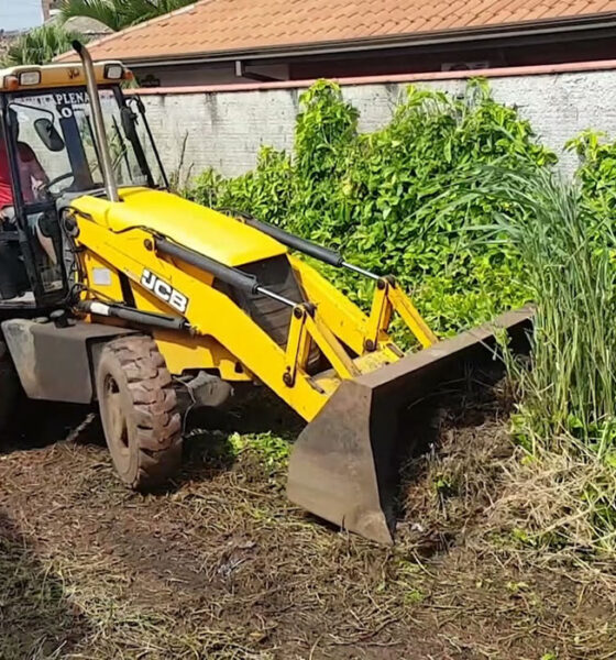 Limpeza de lotes particulares