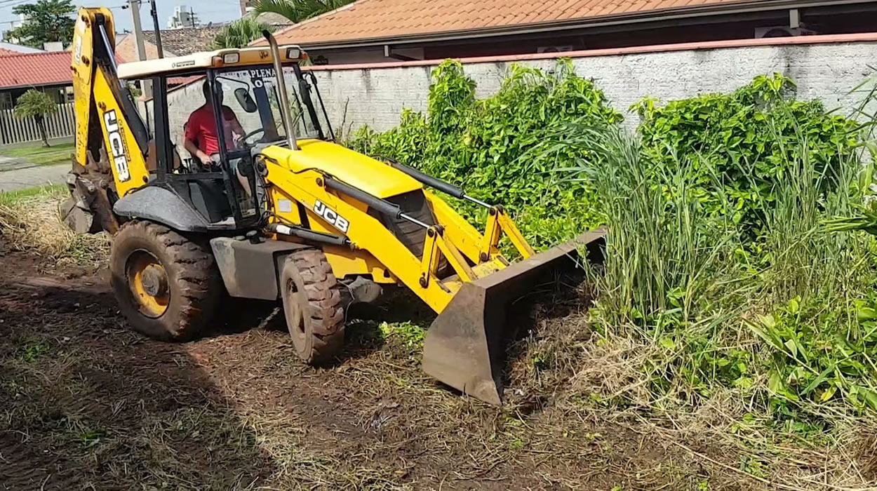 Limpeza de lotes particulares